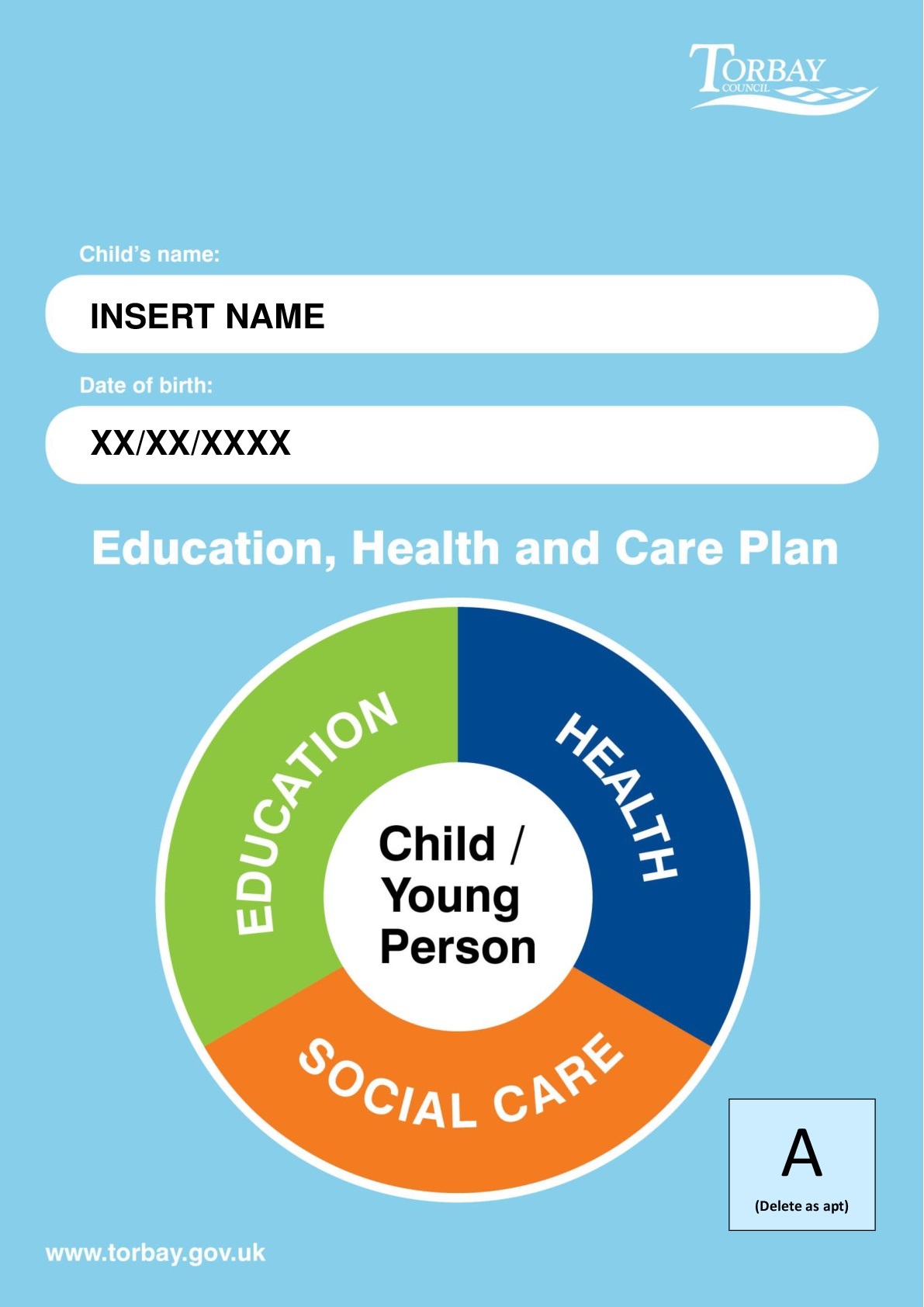 What a Torbay EHCP looks like